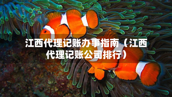 江西代理記賬辦事指南（江西代理記賬公司排行）