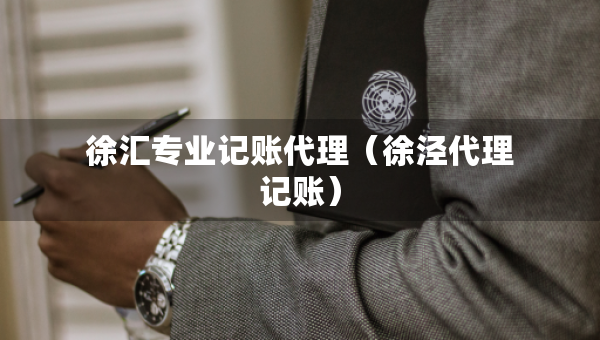 徐匯專業(yè)記賬代理（徐涇代理記賬）