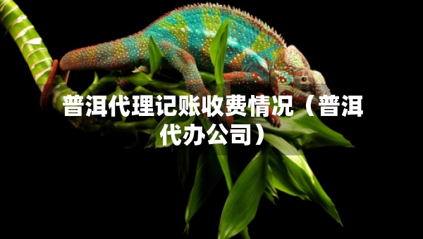 普洱代理記賬收費情況（普洱代辦公司）