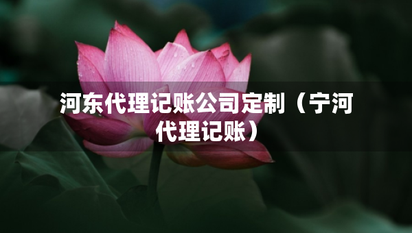 河?xùn)|代理記賬公司定制（寧河代理記賬）