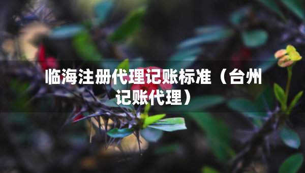 臨海注冊代理記賬標準（臺州記賬代理）