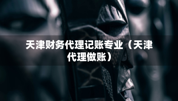 天津財務(wù)代理記賬專業(yè)（天津代理做賬）