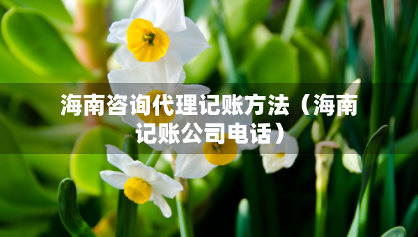 海南咨詢代理記賬方法（海南記賬公司電話）