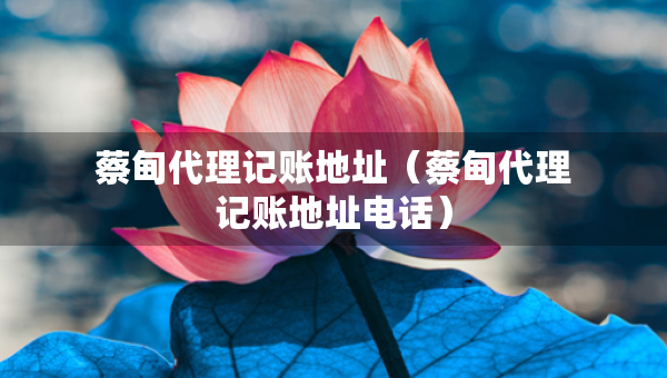 蔡甸代理記賬地址（蔡甸代理記賬地址電話）
