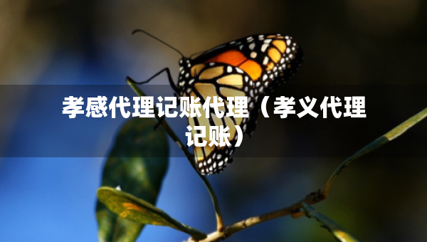 孝感代理記賬代理（孝義代理記賬）
