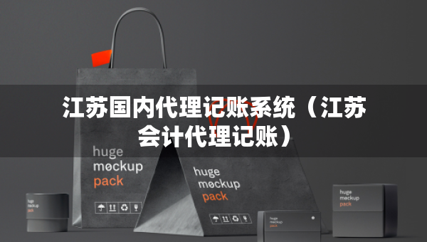 江蘇國(guó)內(nèi)代理記賬系統(tǒng)（江蘇會(huì)計(jì)代理記賬）