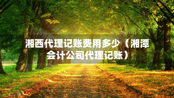 湘西代理記賬費(fèi)用多少（湘潭會(huì)計(jì)公司代理記賬）