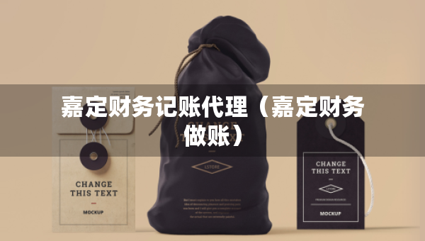 嘉定財(cái)務(wù)記賬代理（嘉定財(cái)務(wù)做賬）