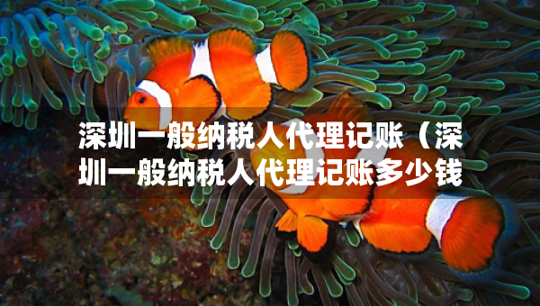 深圳一般納稅人代理記賬（深圳一般納稅人代理記賬多少錢一月）