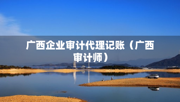 廣西企業(yè)審計代理記賬（廣西審計師）