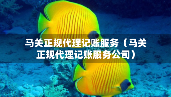 馬關(guān)正規(guī)代理記賬服務(wù)（馬關(guān)正規(guī)代理記賬服務(wù)公司）